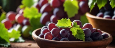 Mincigrap : tout savoir sur ce complément naturel à base de marc de raisin